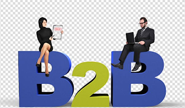 <b>B2BICRMϵyIQ@Ĵ</b>